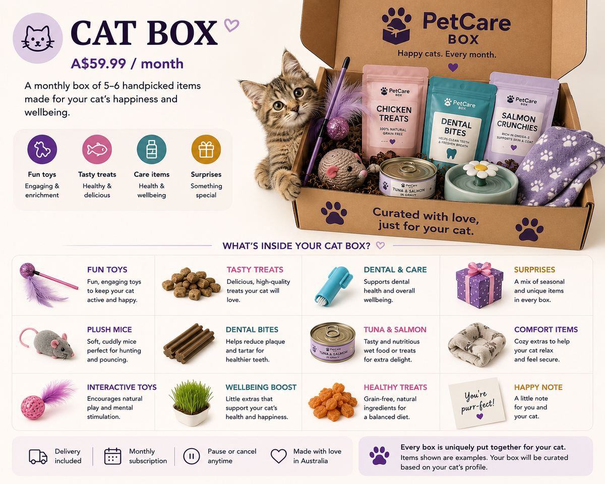 Cat Box